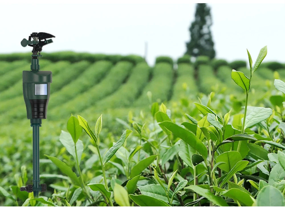 Motion-Activated Sprinkler – Animal Deterrent & Garden Pest Control