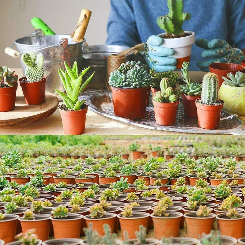 75pcs Flexible Nursery Seedling Pots for Succulents & Plants