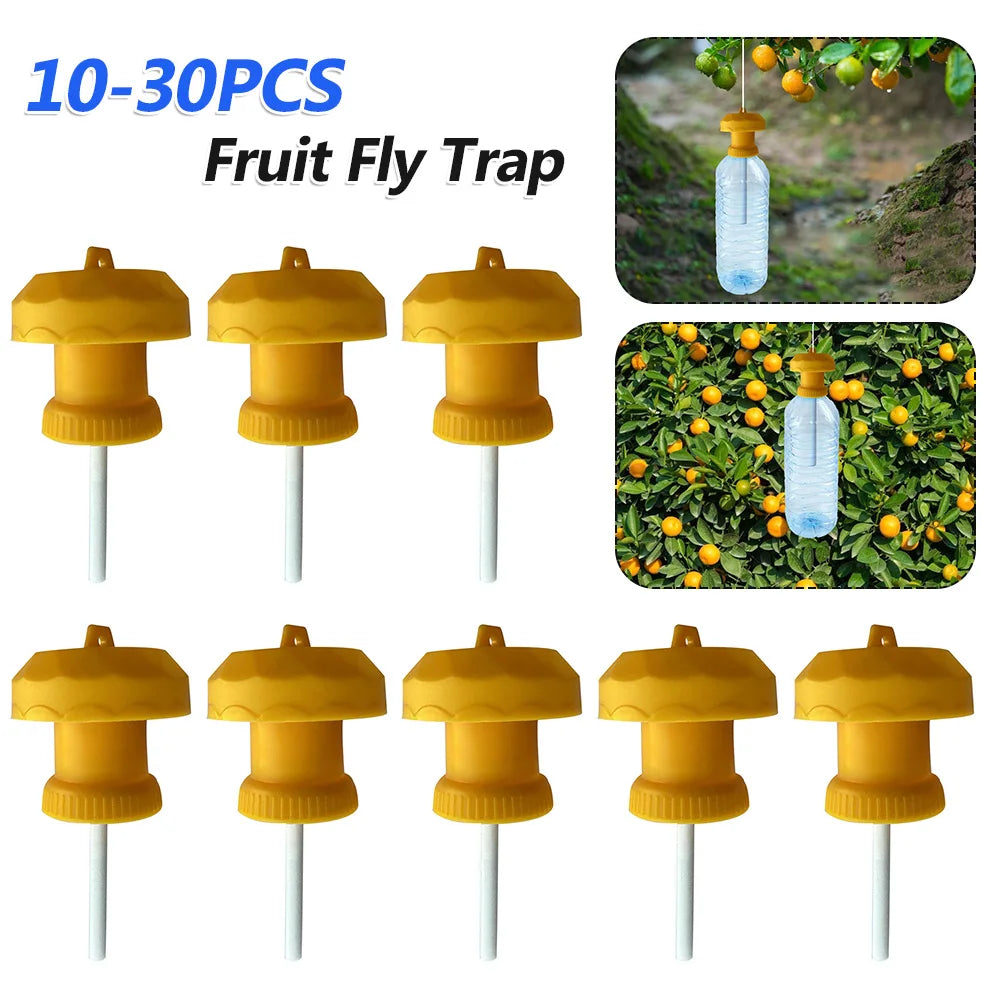 10-30PCS Drosophila Fruit Fly Traps