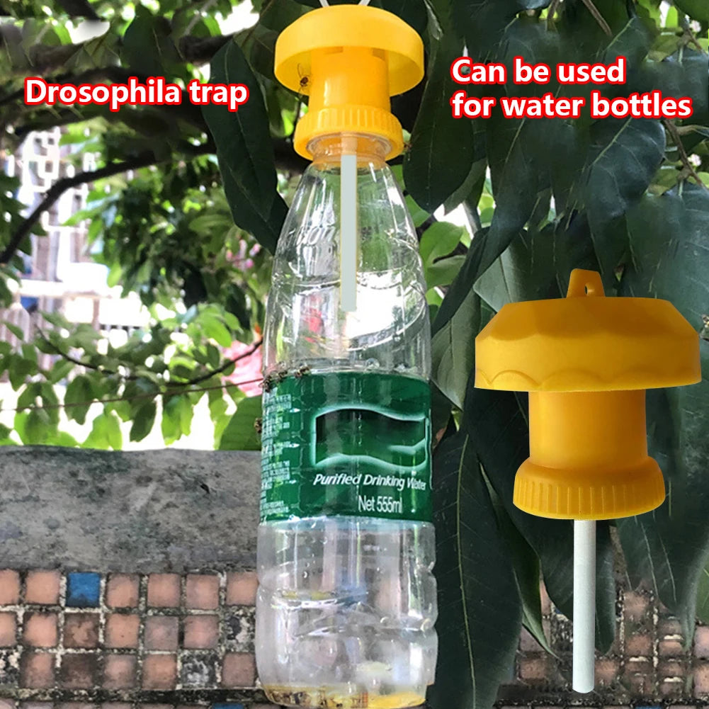 10-30PCS Drosophila Fruit Fly Traps