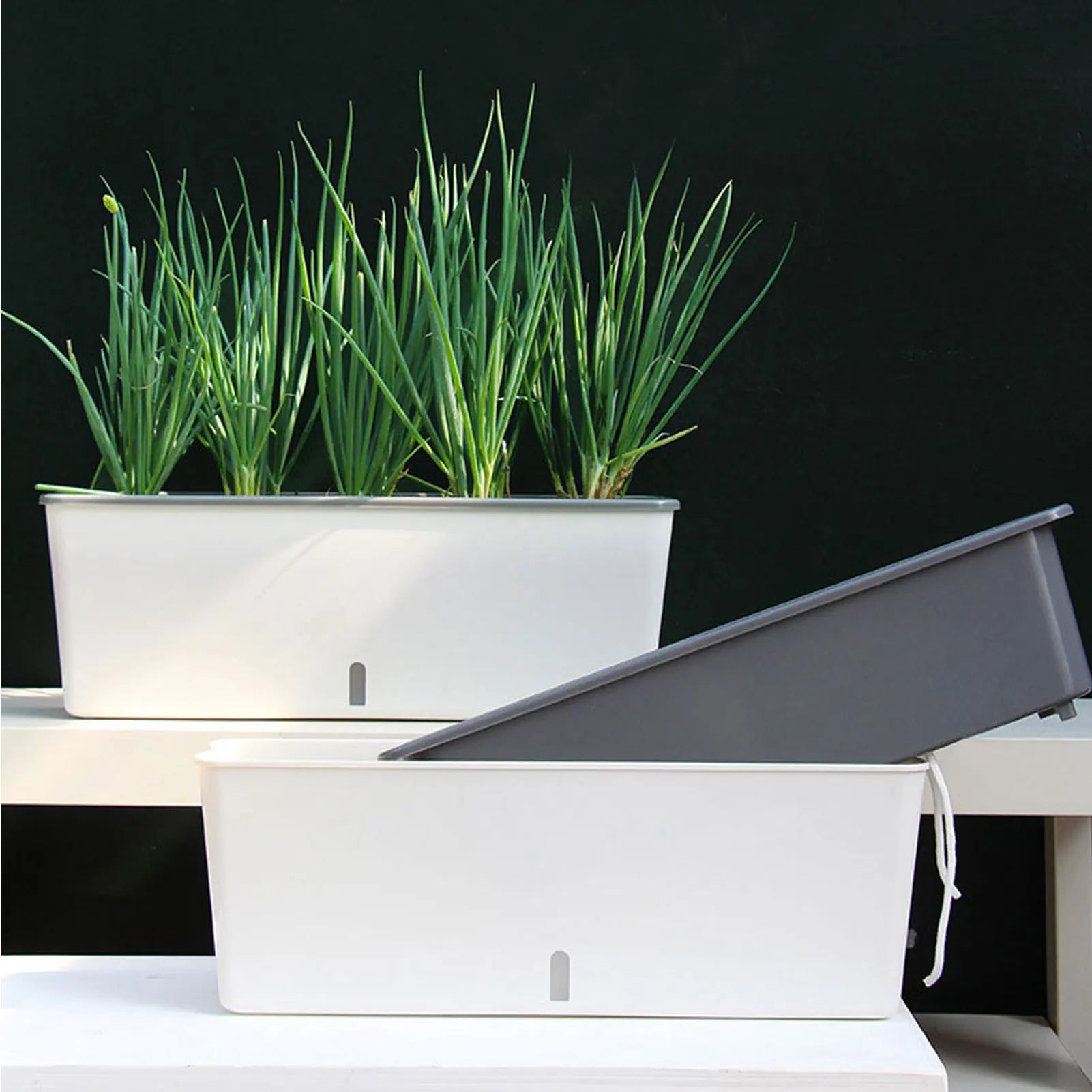 Self-Watering Planter Pots with Water Level Indicator – Great Gift Idea