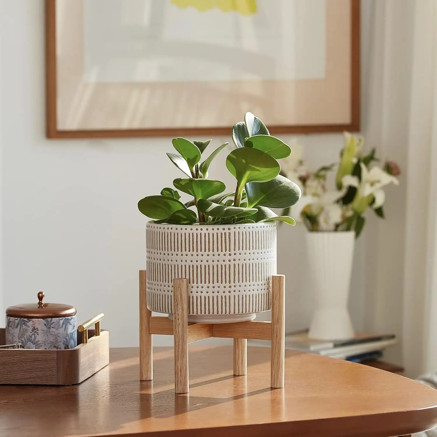 Ceramic Plant Pot with Wood Stand